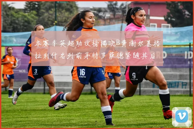 本赛季英超助攻榜揭晓B费谢尔基格拉利什名列前茅特罗萨德紧随其后