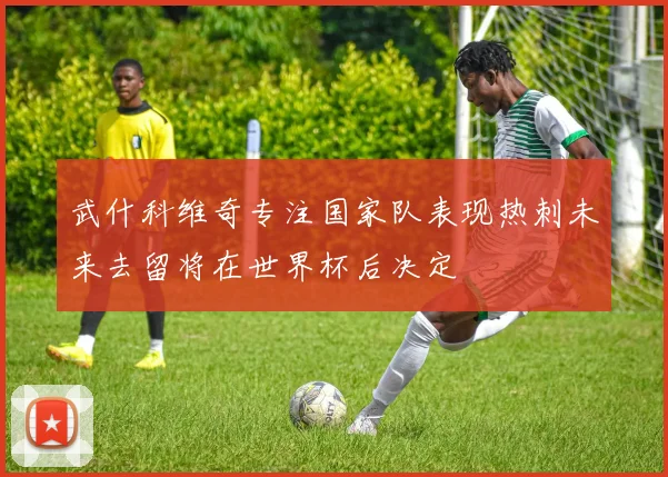武什科维奇专注国家队表现热刺未来去留将在世界杯后决定